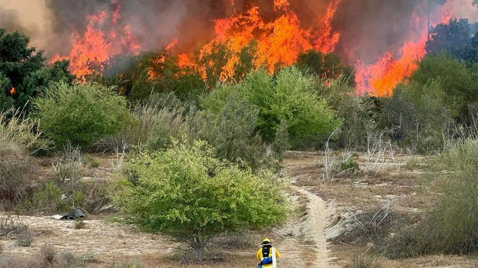 Incendio en el estero josefino 1